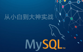 MySQL DBA高级运维系统课程